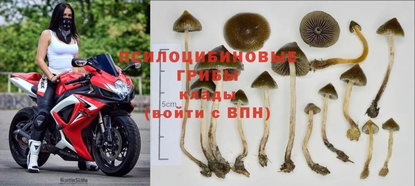 каннабис Михайловка